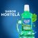 7506195129104-Oral-B-Antisseptico-Bucal-Oral-B-Hortela-Leve-500ml-Pague-300ml---product.category----1-